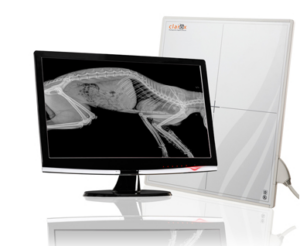 Sistema Digital Directo dr Canon Wired pa