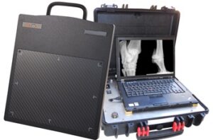 Sistema Digital Directo dr Canon Equinos